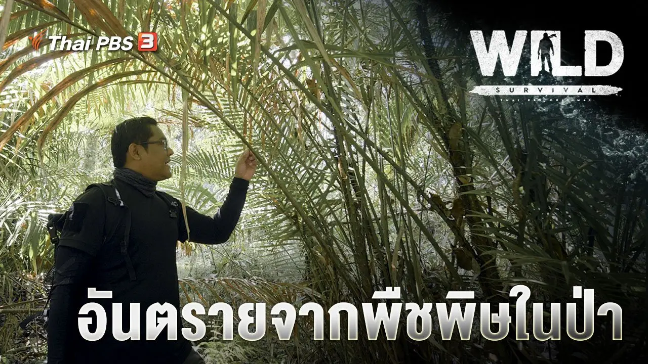 อันตรายจากพืชพิษในป่า