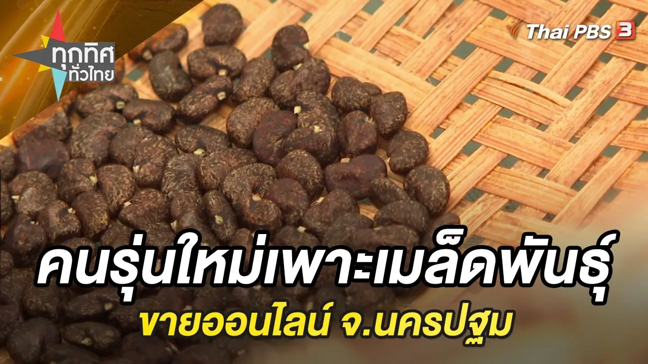 คนรุ่นใหม่เพาะเมล็ดพันธุ์ขายออนไลน์ จ.นครปฐม