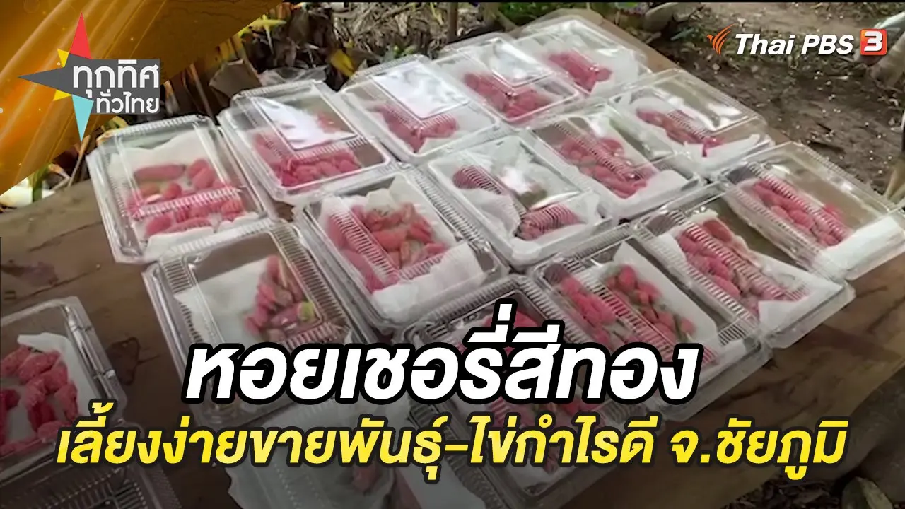 ทุกทิศทั่วไทย