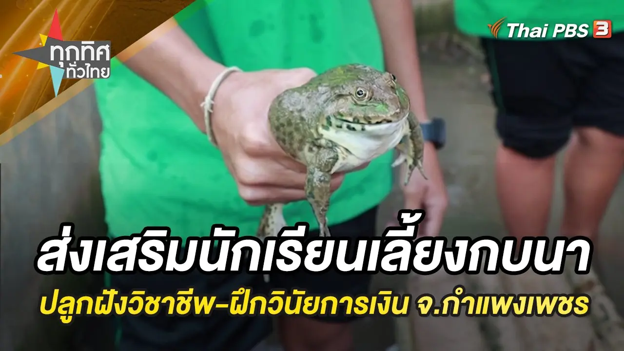 ส่งเสริมนักเรียนเลี้ยงกบนา ปลูกฝังวิชาชีพ-ฝึกวินัยการเงิน จ.กำแพงเพชร