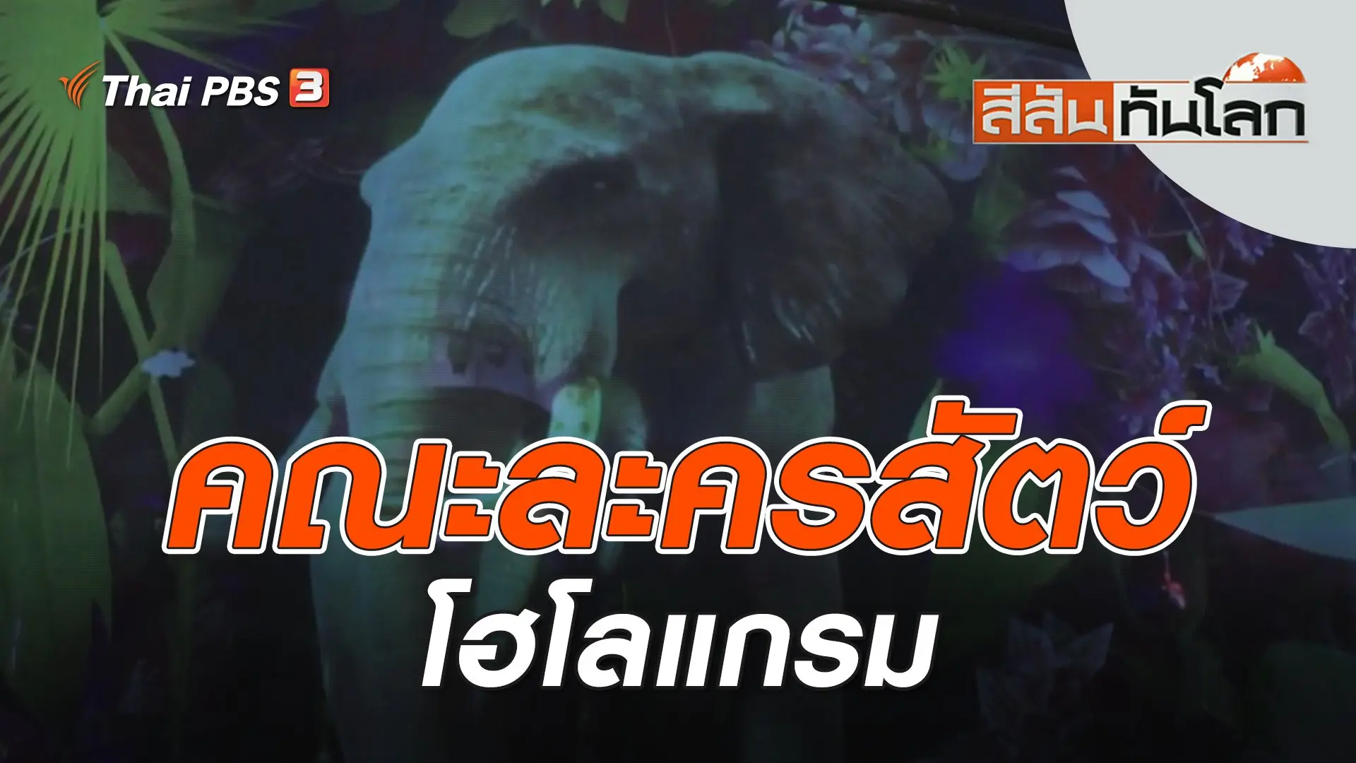 คณะละครสัตว์โฮโลแกรม | สีสันทันโลก | 17 ก.ย. 66