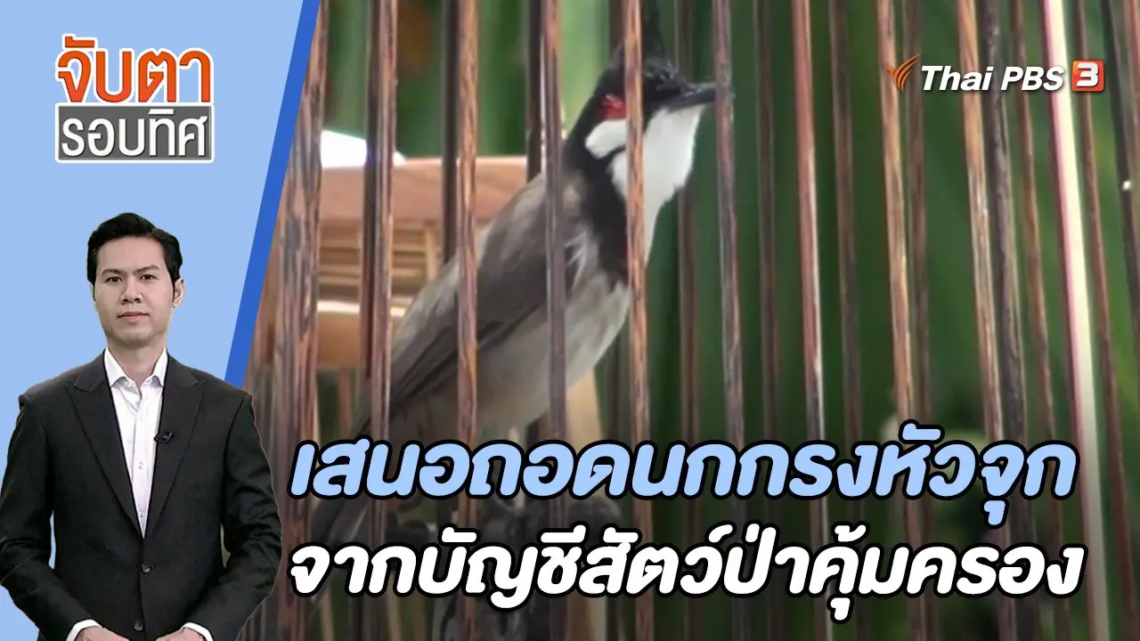 เสนอถอด นกกรงหัวจุก จากบัญชีสัตว์ป่าคุ้มครอง | 26 ก.ย. 66
