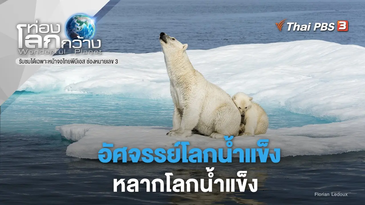อัศจรรย์โลกน้ำแข็ง ภาค 2 ตอน หลากโลกน้ำแข็ง