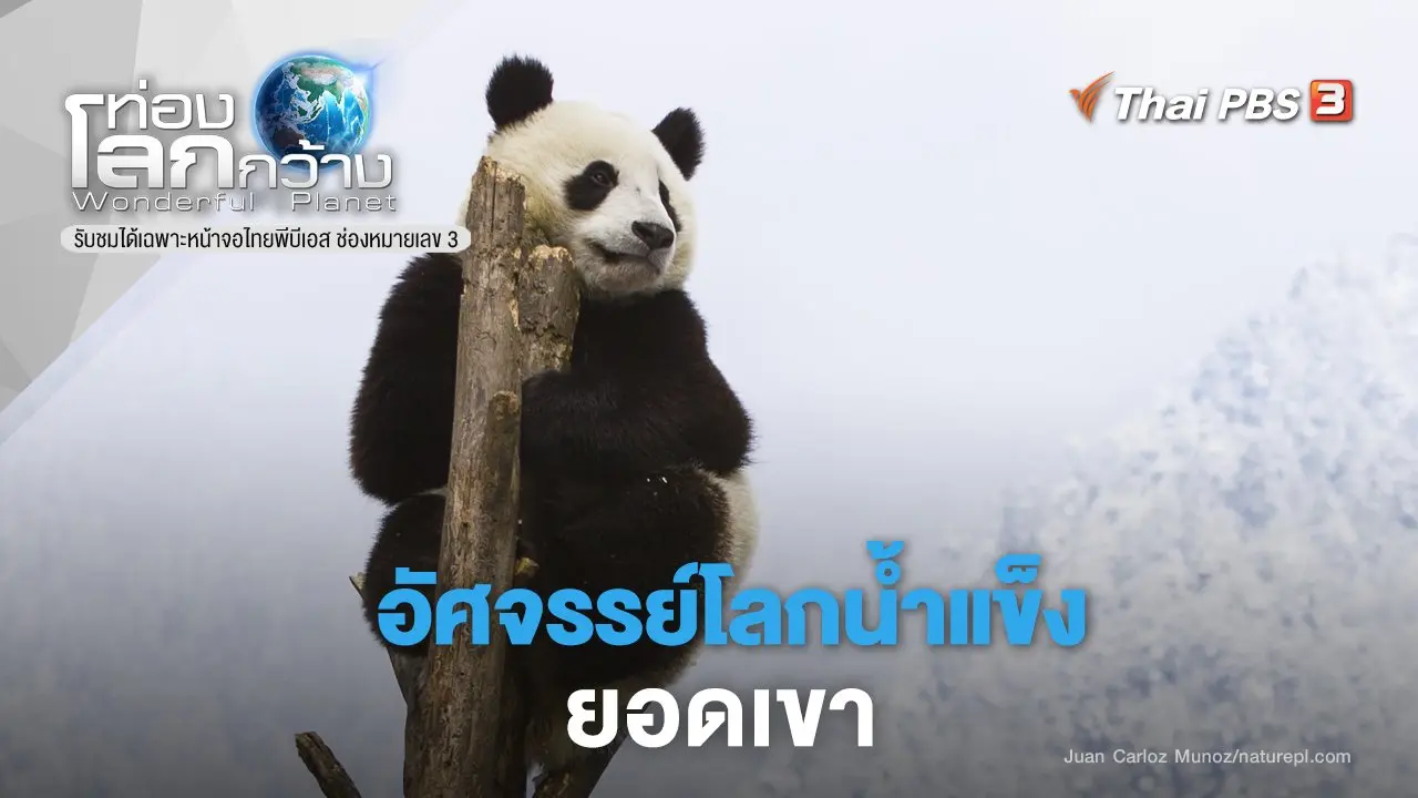 อัศจรรย์โลกน้ำแข็ง ภาค 2 ตอน ยอดเขา