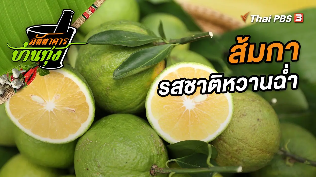 ส้มกา