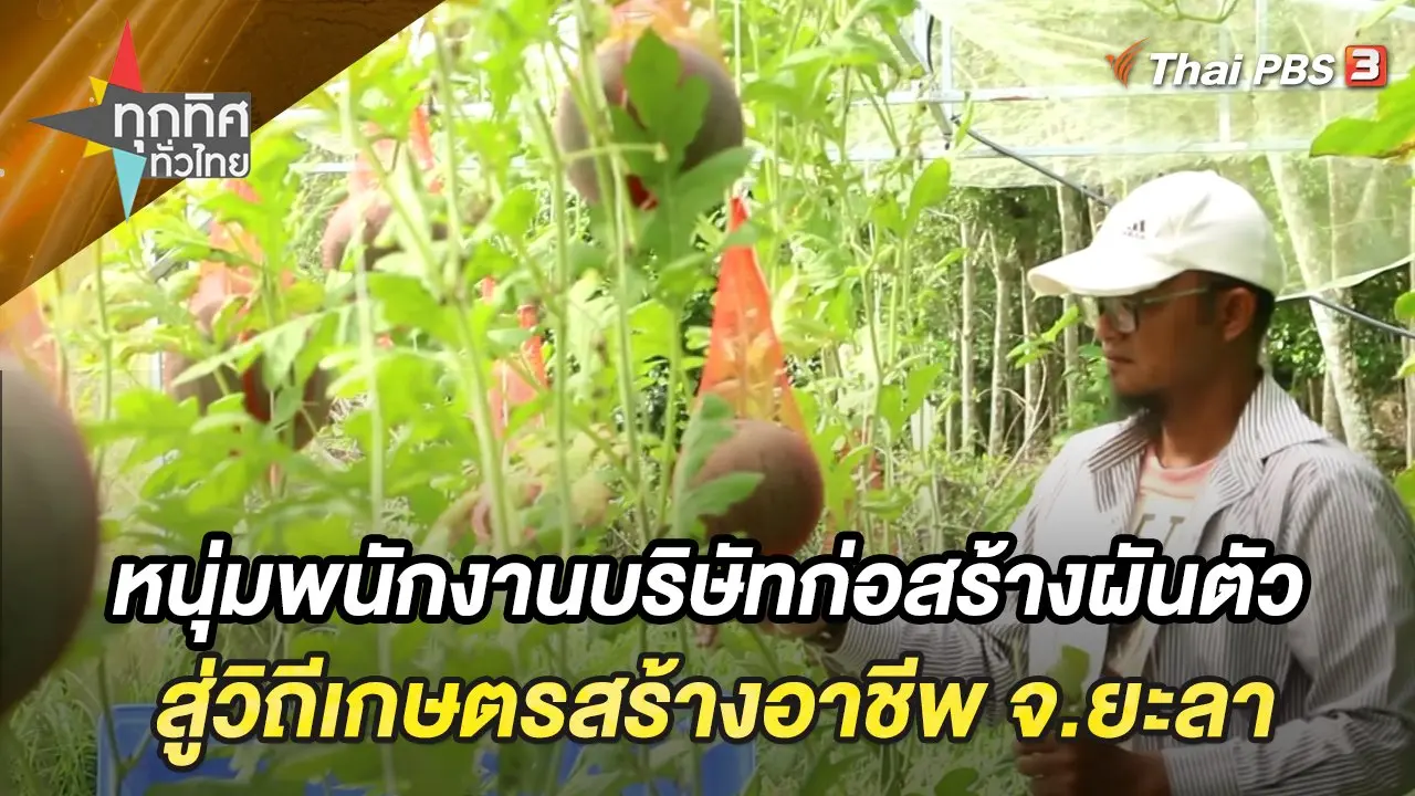หนุ่มพนักงานบริษัทก่อสร้างผันตัวสู่วิถีเกษตรสร้างอาชีพ จ.ยะลา
