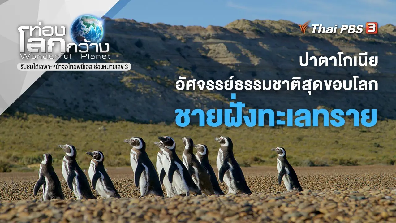 ปาตาโกเนีย...อัศจรรย์ธรรมชาติสุดขอบโลก ตอน ชายฝั่งทะเลทราย