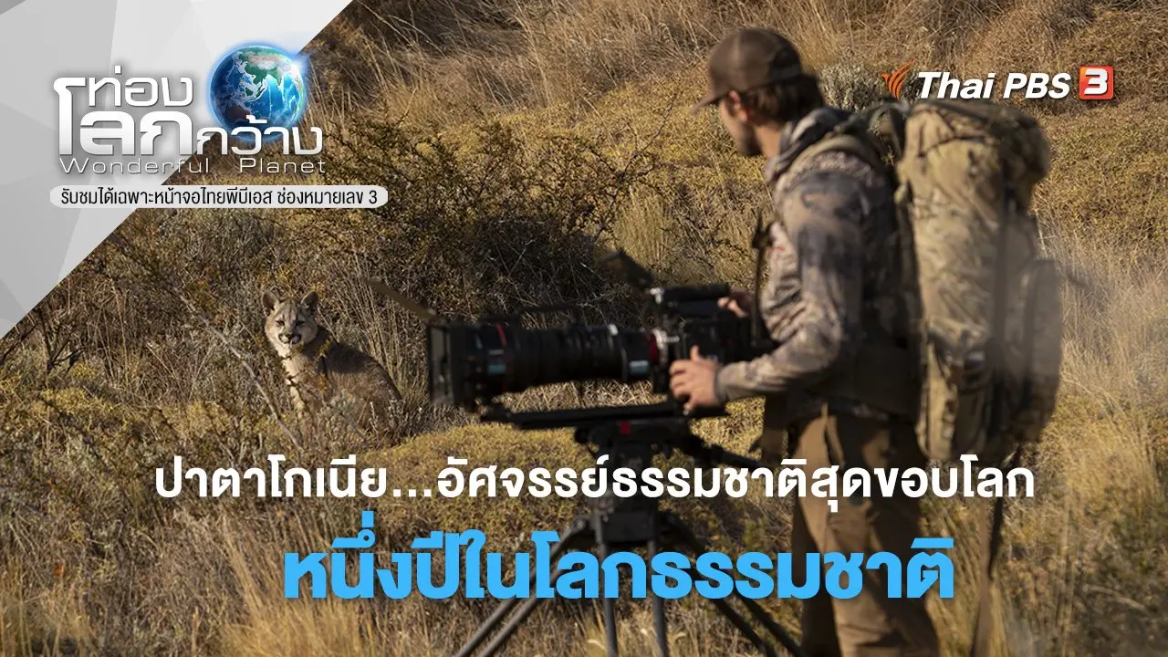ปาตาโกเนีย… อัศจรรย์ธรรมชาติสุดขอบโลก ตอน หนึ่งปีในโลกธรรมชาติ
