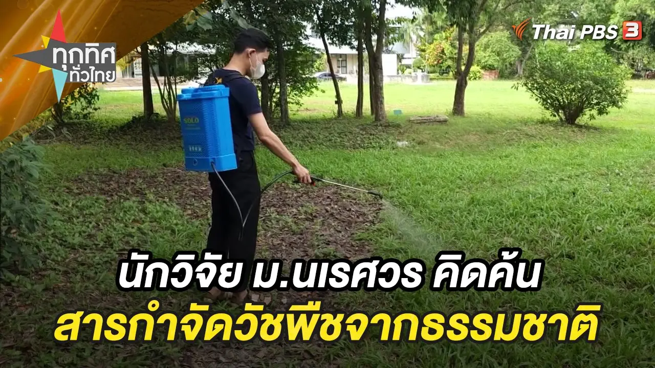 นักวิจัย ม.นเรศวร คิดค้นสารกำจัดวัชพืชจากธรรมชาติ