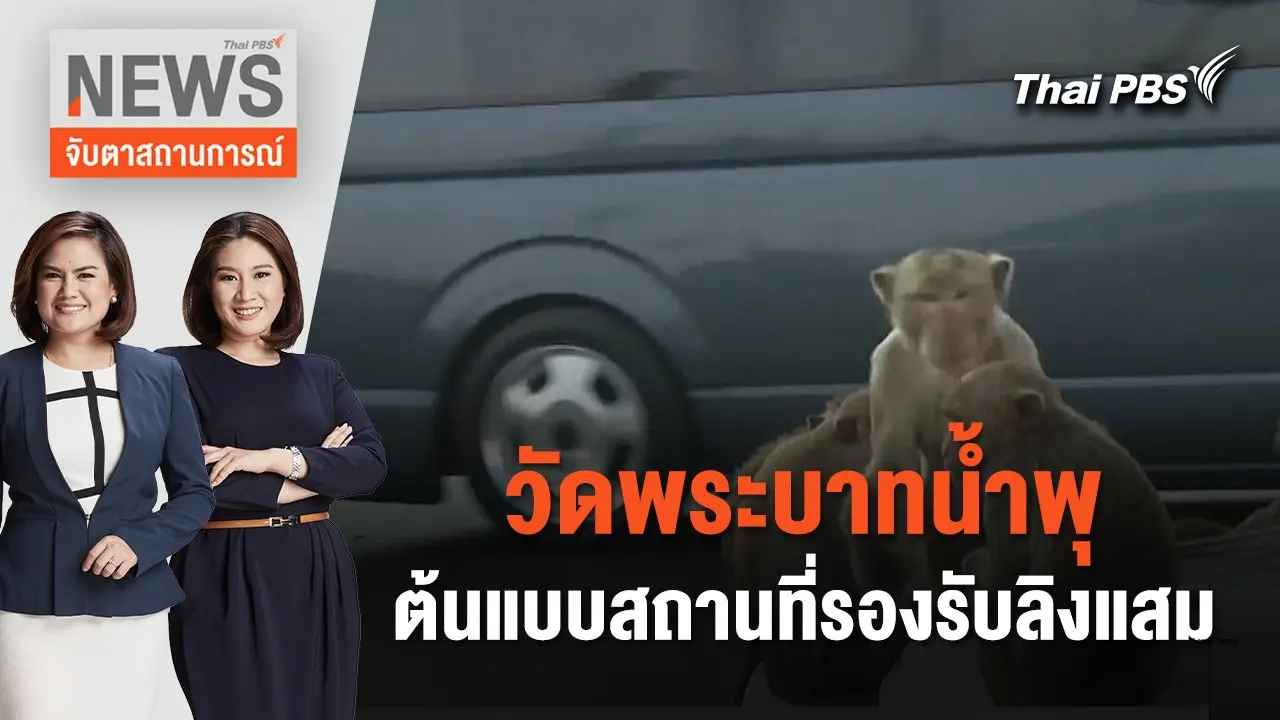 วัดพระบาทน้ำพุ ต้นแบบสถานที่รองรับลิงแสม | จับตาสถานการณ์ | 9 ก.พ. 67