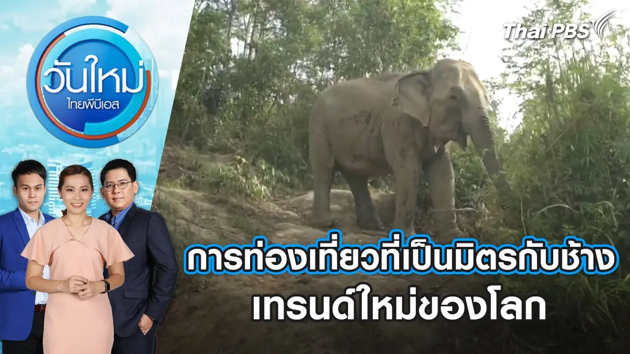 การท่องเที่ยวที่เป็นมิตรกับช้าง เทรนด์ใหม่ของโลก | วันใหม่ ไทยพีบีเอส | 12 ก.พ. 67