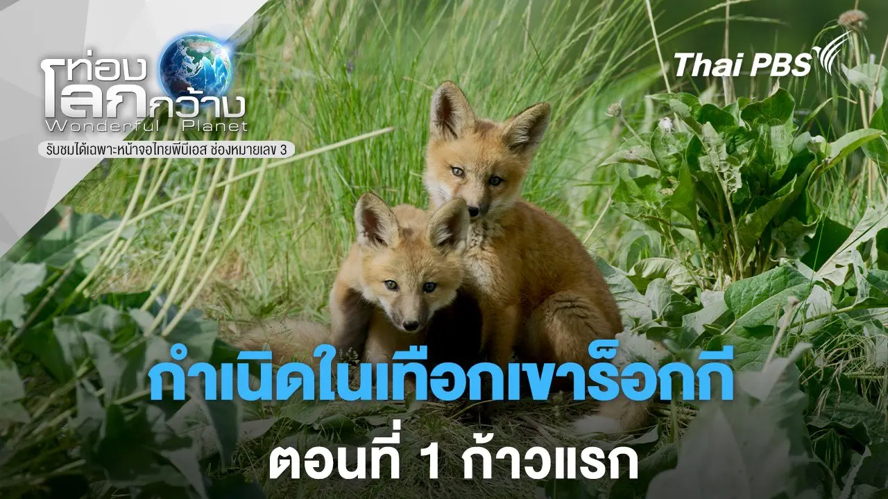กำเนิดในเทือกเขาร็อกกี  ตอนที่ 1 ก้าวแรก
