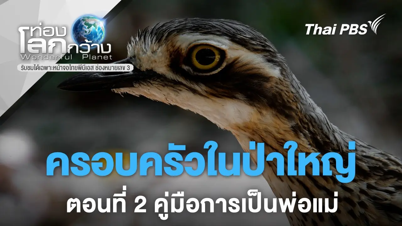 ครอบครัวในป่าใหญ่ ตอนที่ 2 คู่มือการเป็นพ่อแม่
