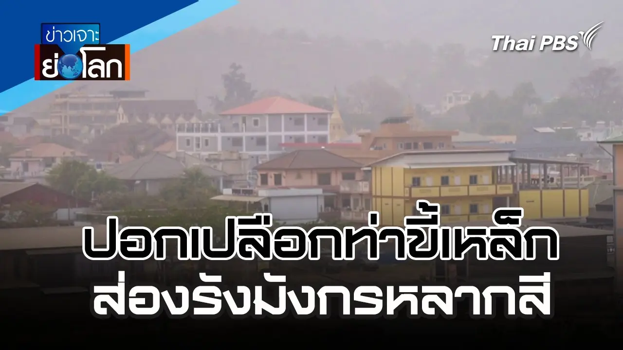 ปอกเปลือกท่าขี้เหล็ก ส่องรังมังกรหลากสี | 30 มี.ค. 67