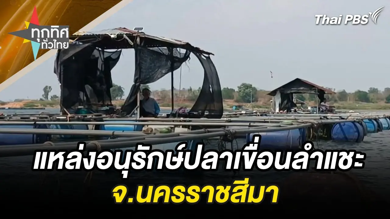 แหล่งอนุรักษ์ปลาเขื่อนลำแชะ จ.นครราชสีมา