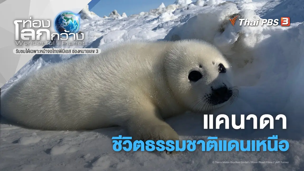 แคนาดา...ชีวิตธรรมชาติแดนเหนือ