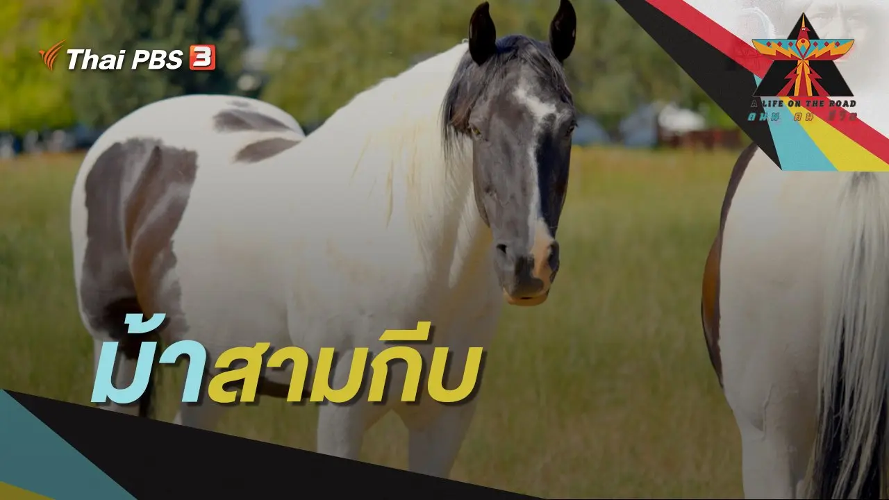 ม้าสามกีบ