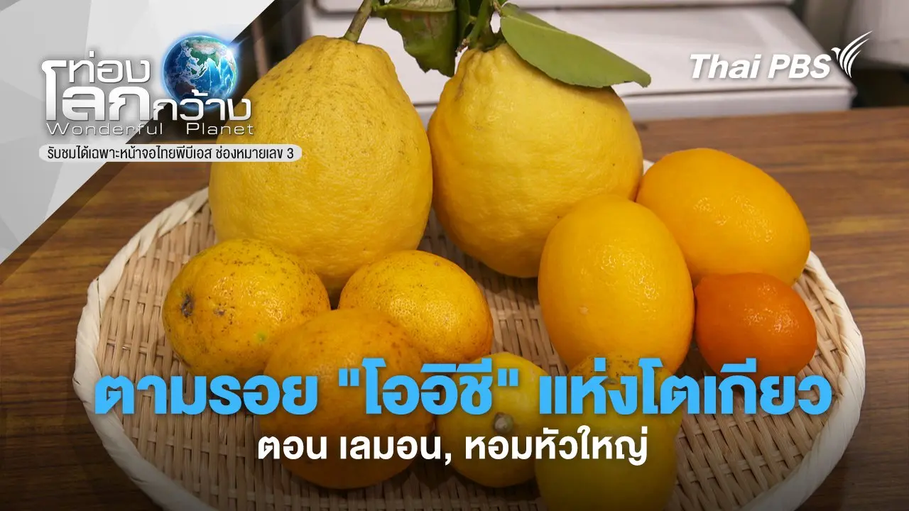 ตามรอย "โออิชี" แห่งโตเกียว ตอน เลมอน, หอมหัวใหญ่