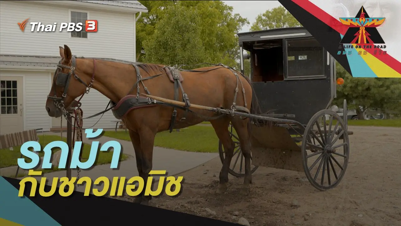 รถม้ากับชาวแอมิช