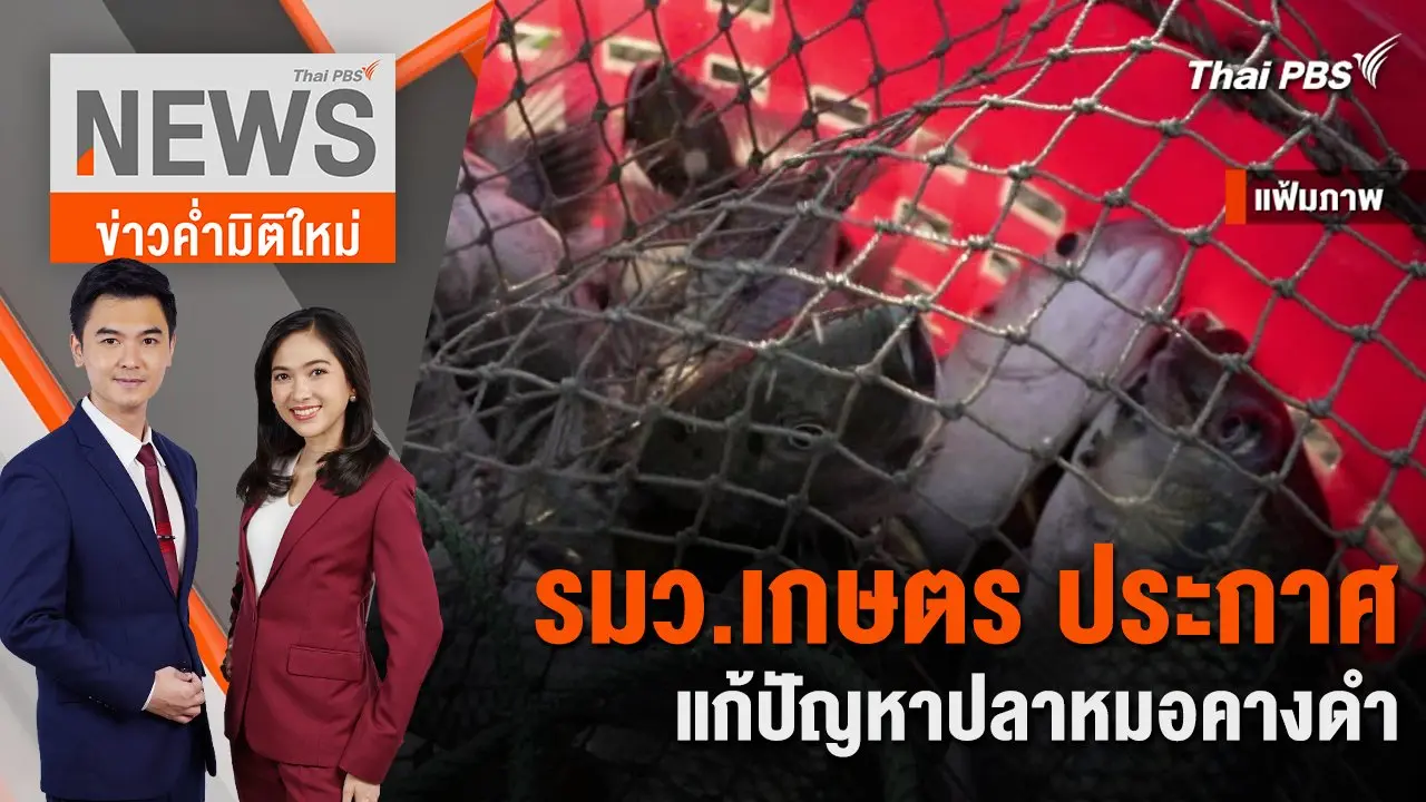 รมว.เกษตร ประกาศแก้ปัญหาปลาหมอคางดำ | 6 พ.ค. 67
