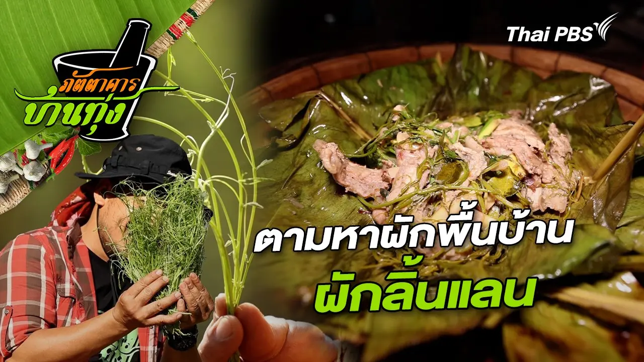 ผักลิ้นแลน
