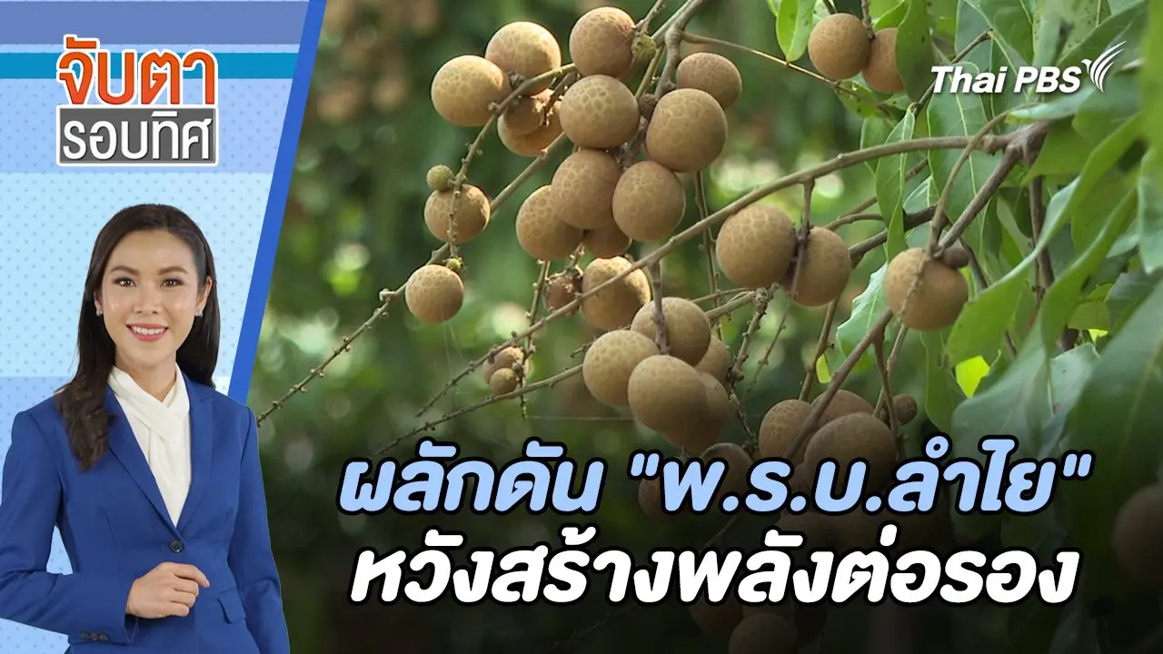 ผลักดัน "พ.ร.บ.ลำไย" หวังสร้างพลังต่อรอง  | จับตารอบทิศ | 17 พ.ค. 67