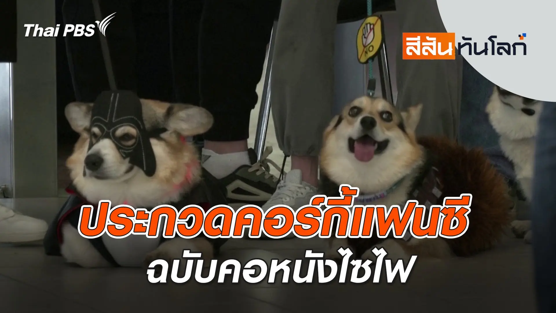ประกวดคอร์กี้แฟนซีฉบับคอหนังไซไฟ | สีสันทันโลก | 4 พ.ค. 67