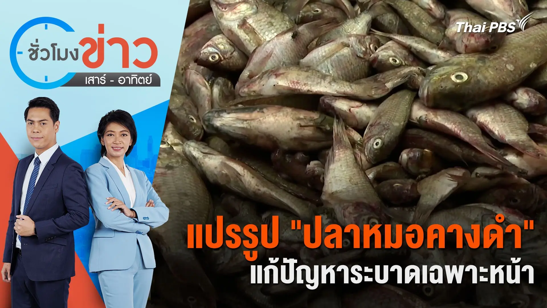 แปรรูป "ปลาหมอคางดำ" แก้ปัญหาระบาดเฉพาะหน้า | ชั่วโมงข่าว เสาร์ - อาทิตย์ | 14 ก.ค. 67