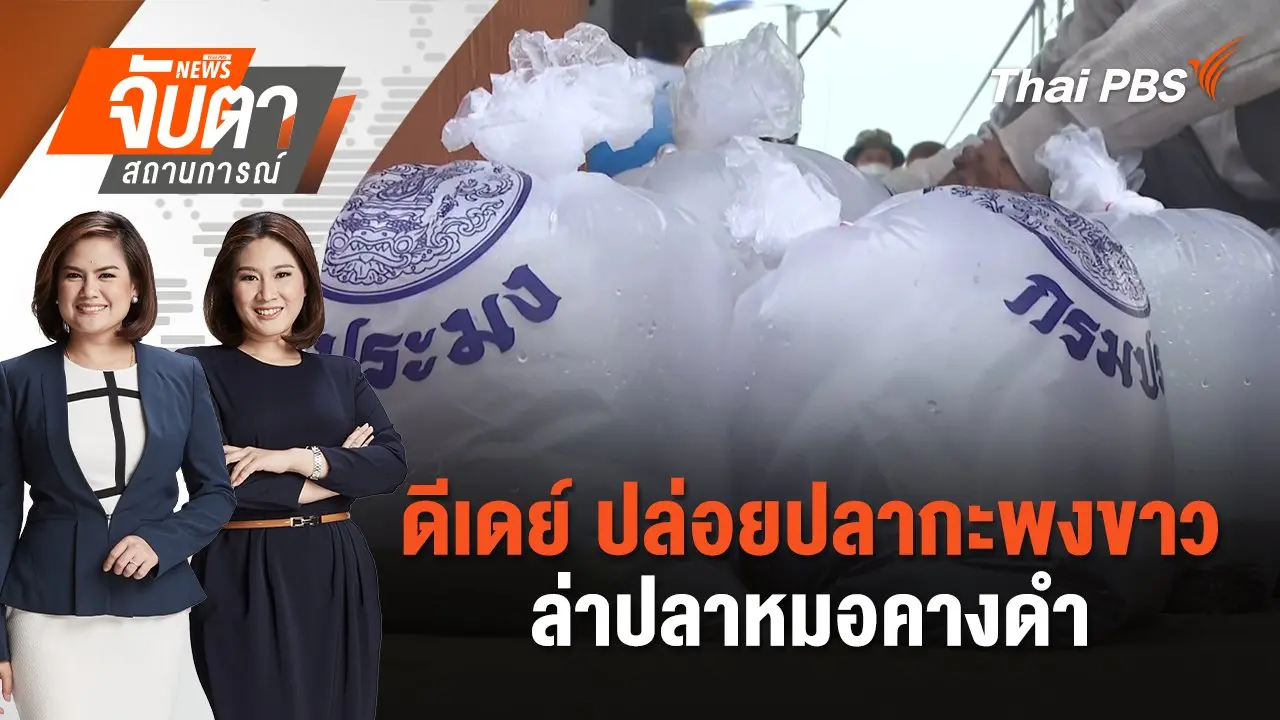 ดีเดย์ ปล่อยปลากะพงขาว ล่าปลาหมอคางดำ | จับตาสถานการณ์ | 19 ก.ค. 67