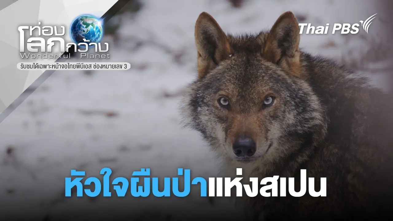 หัวใจผืนป่าแห่งสเปน
