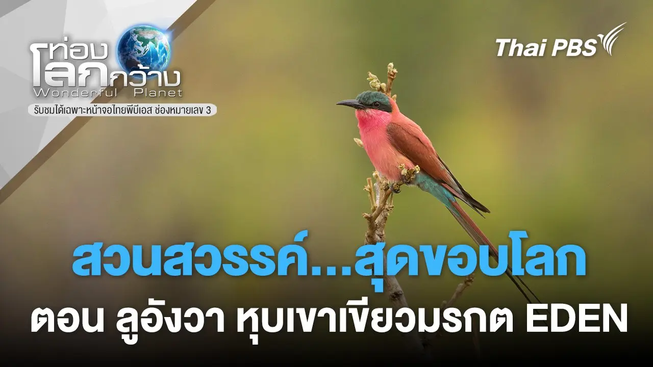 สวนสวรรค์...สุดขอบโลก ตอน ลูอังวา หุบเขาเขียวมรกต