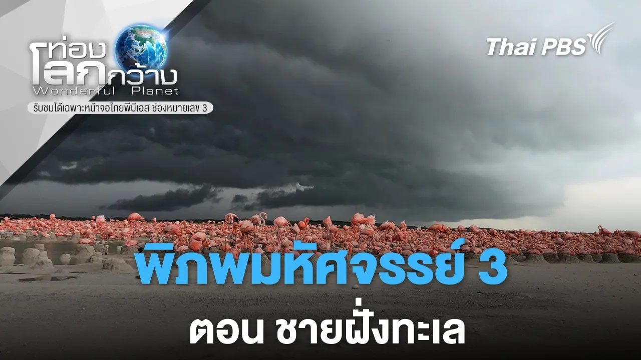 พิภพมหัศจรรย์ 3 ตอน ชายฝั่งทะเล