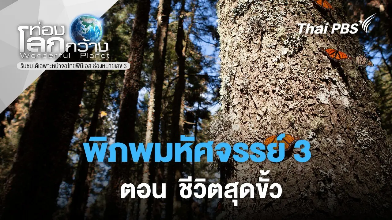 พิภพมหัศจรรย์ 3 ตอน ชีวิตสุดขั้ว