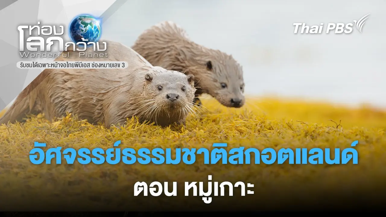 อัศจรรย์ธรรมชาติสกอตแลนด์  ตอน หมู่เกาะ