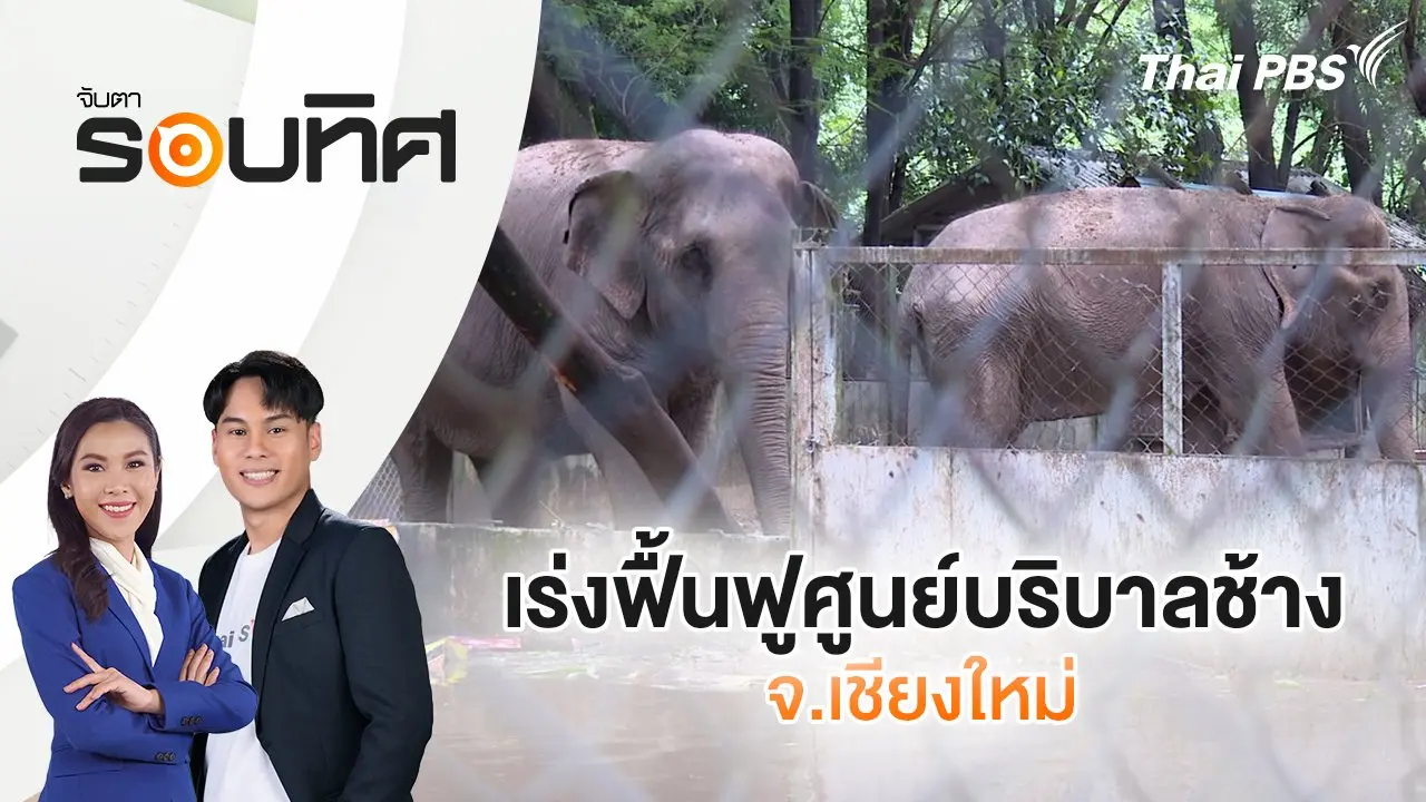 เร่งฟื้นฟูศูนย์บริบาลช้าง จ.เชียงใหม่ | จับตารอบทิศ | 7 ต.ค. 67