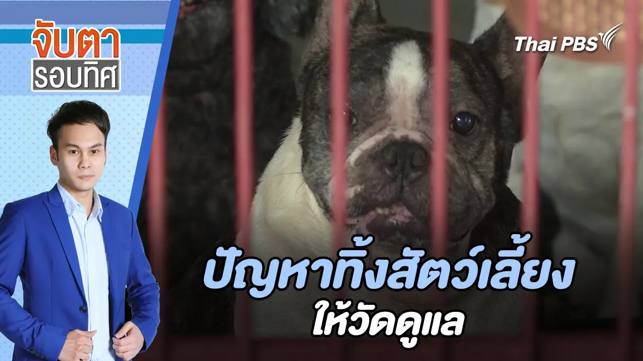 ปัญหาทิ้งสัตว์เลี้ยงให้วัดดูแล | จับตารอบทิศ | 4 มิ.ย. 67