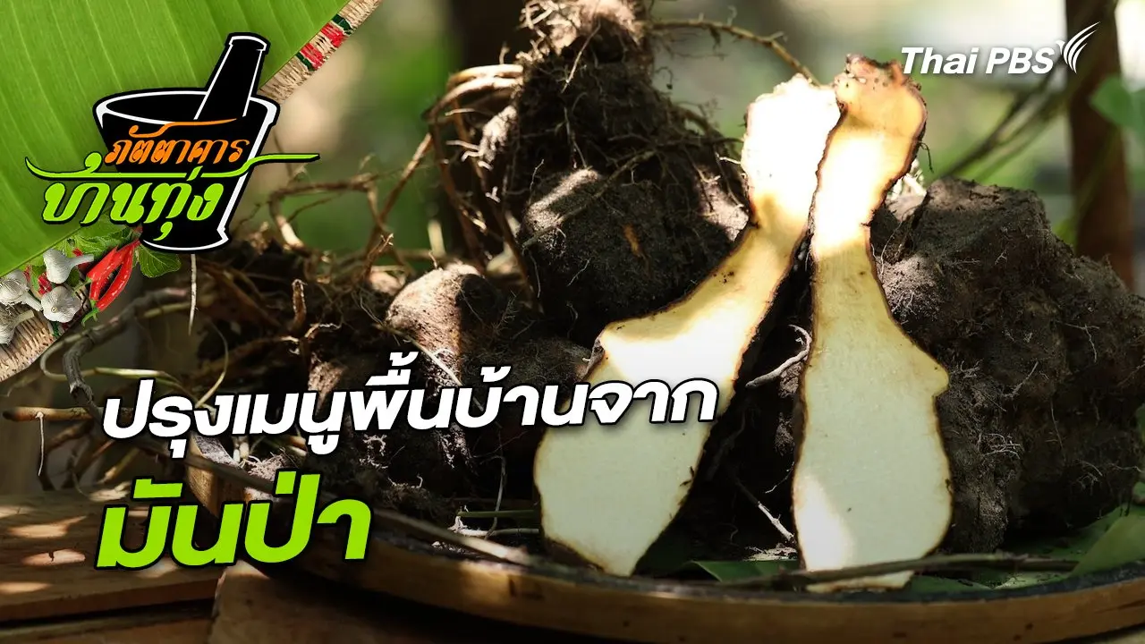 มันป่า