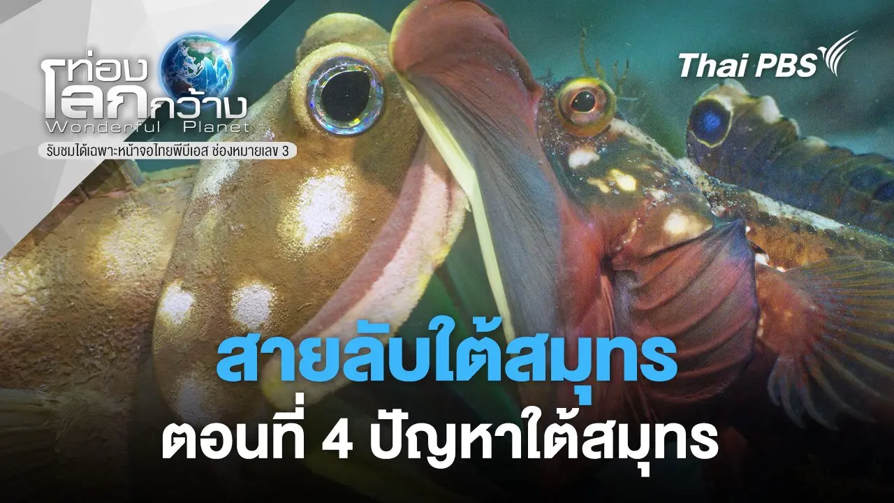 สายลับใต้สมุทร ตอนที่ 4 ปัญหาใต้สมุทร