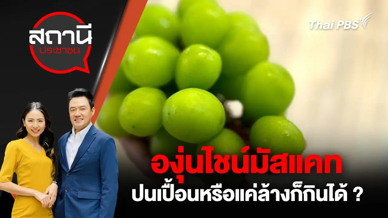 องุ่นไชน์มัสแคท ปนเปื้อนหรือแค่ล้างก็กินได้ ?