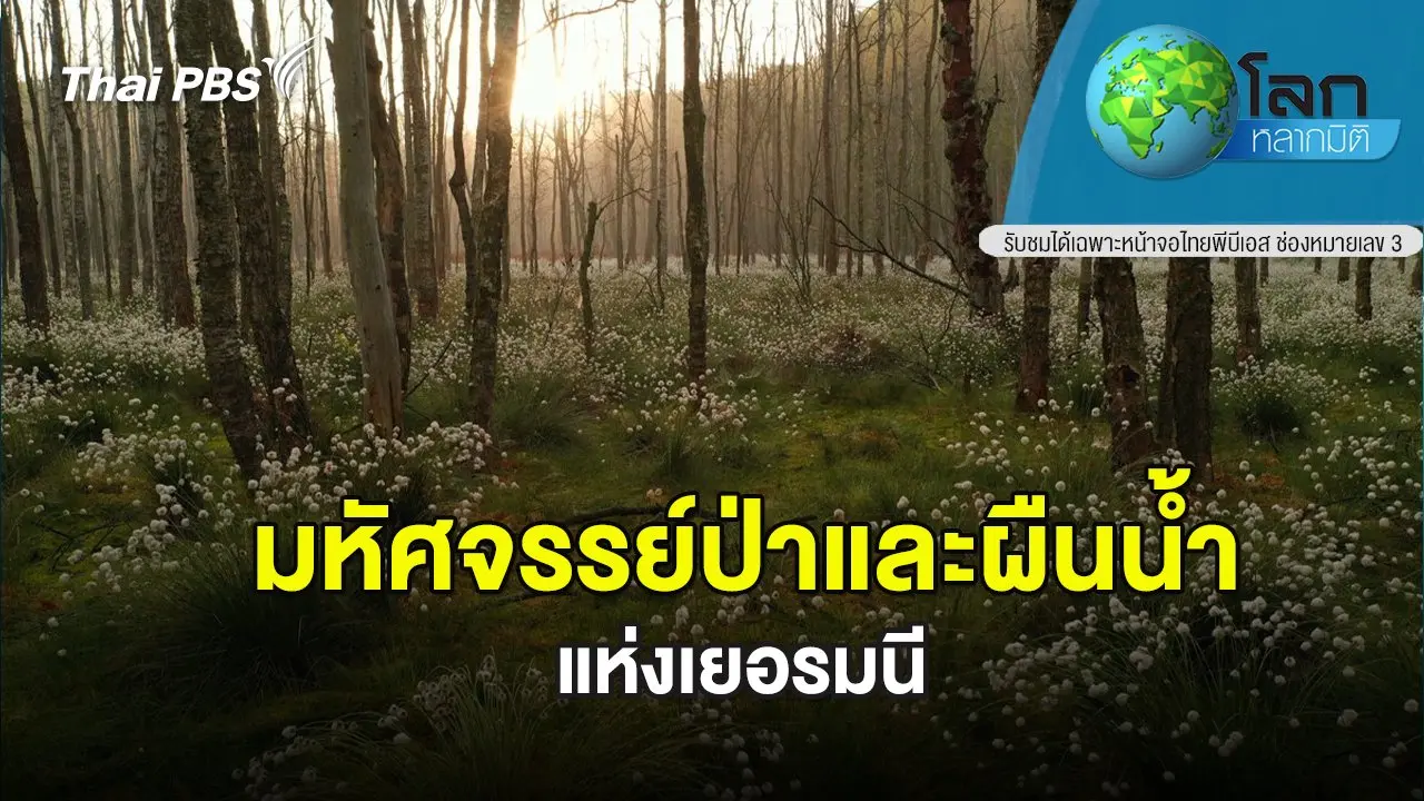 มหัศจรรย์ป่าและผืนน้ำแห่งเยอรมนี