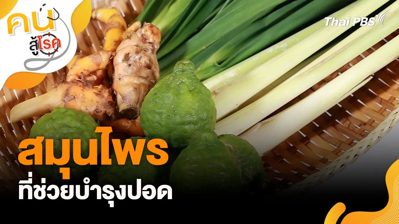 สมุนไพรที่ช่วยบำรุงปอด