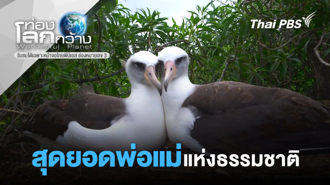 สุดยอดพ่อแม่แห่งธรรมชาติ