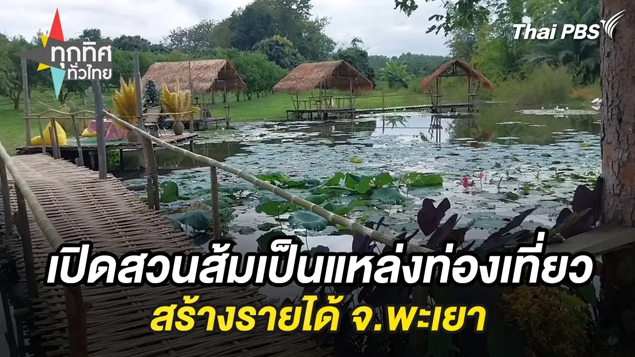 เปิดสวนส้มเป็นแหล่งท่องเที่ยวสร้างรายได้ จ.พะเยา