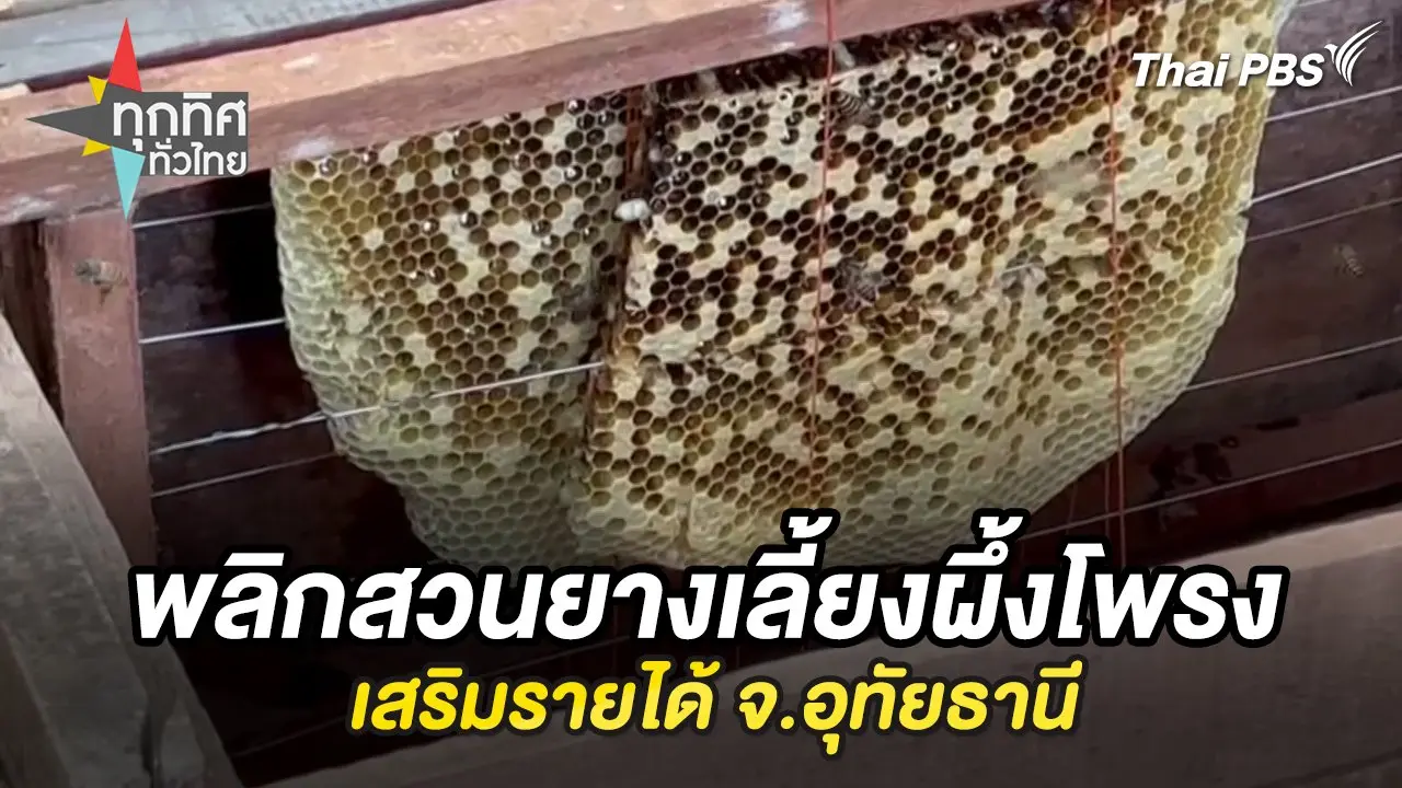 ทุกทิศทั่วไทย