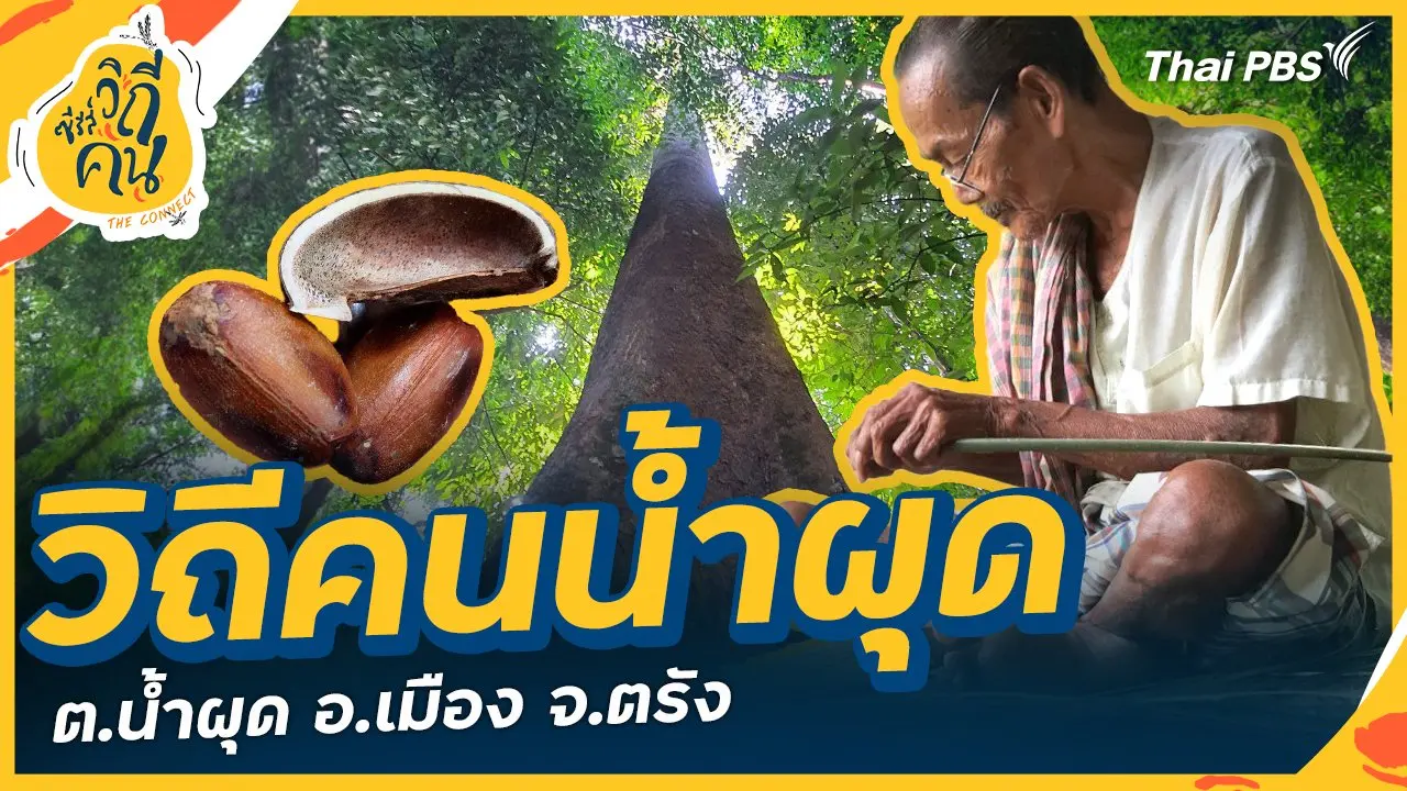 วิถีคนน้ำผุด ต.น้ำผุด อ.เมือง จ.ตรัง
