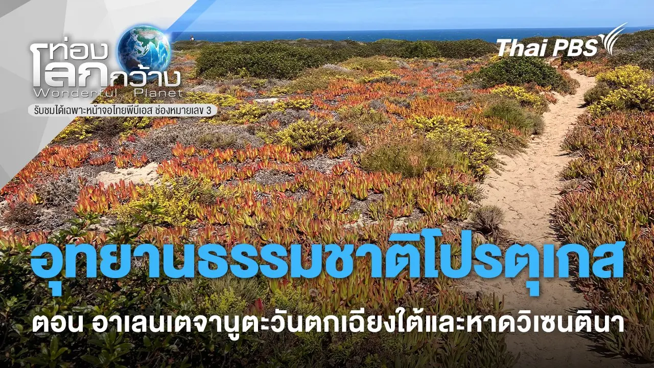 อุทยานธรรมชาติโปรตุเกส ตอน อาเลนเตจานูตะวันตกเฉียงใต้และหาดวิเซนตินา