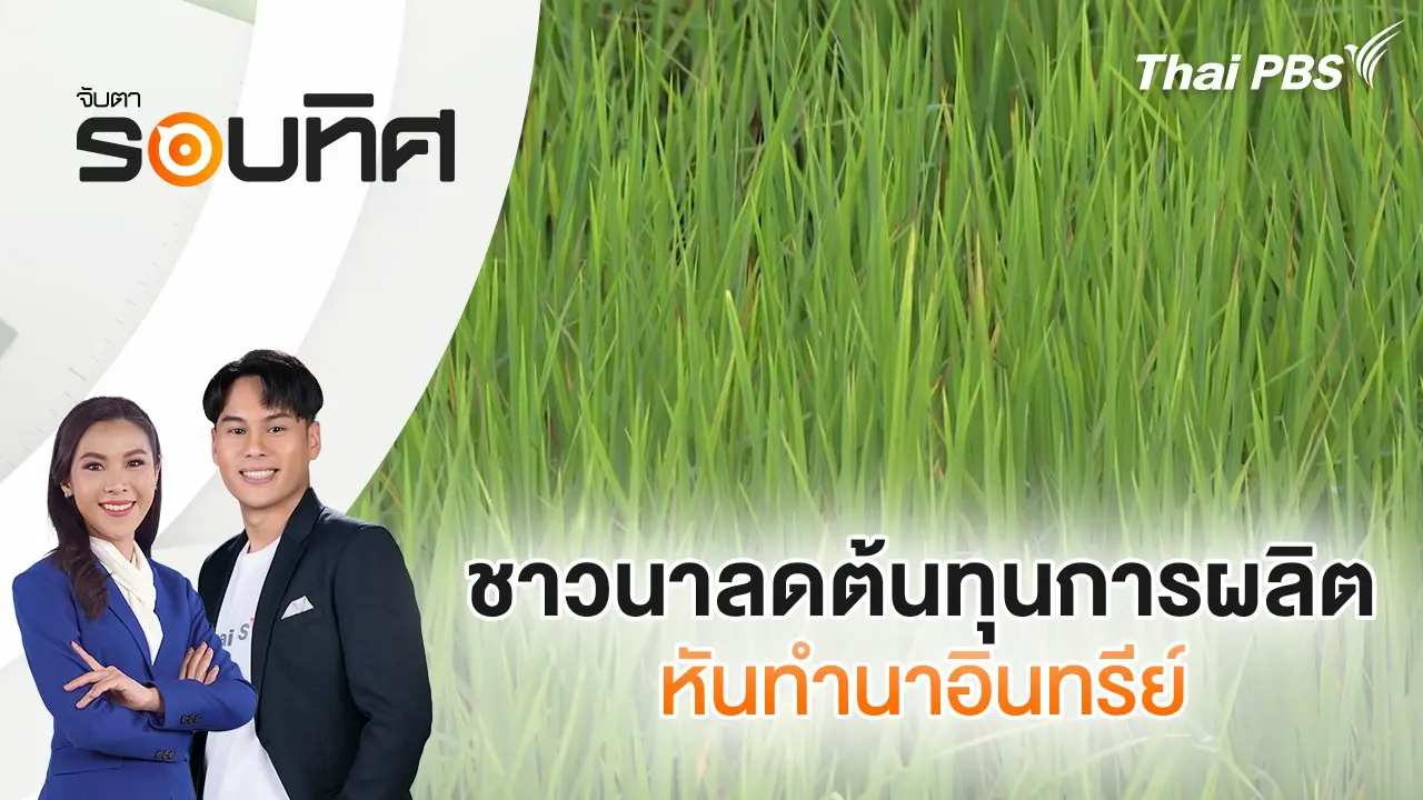 ชาวนาลดต้นทุนการผลิตหันทำนาอินทรีย์ | จับตารอบทิศ | 8 ก.ย. 68