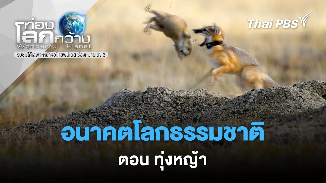 อนาคตโลกธรรมชาติ ตอน ทุ่งหญ้า
