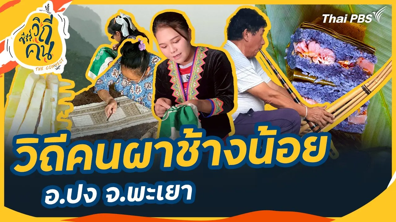 วิถีคนผาช้างน้อย  อ.ปง จ.พะเยา