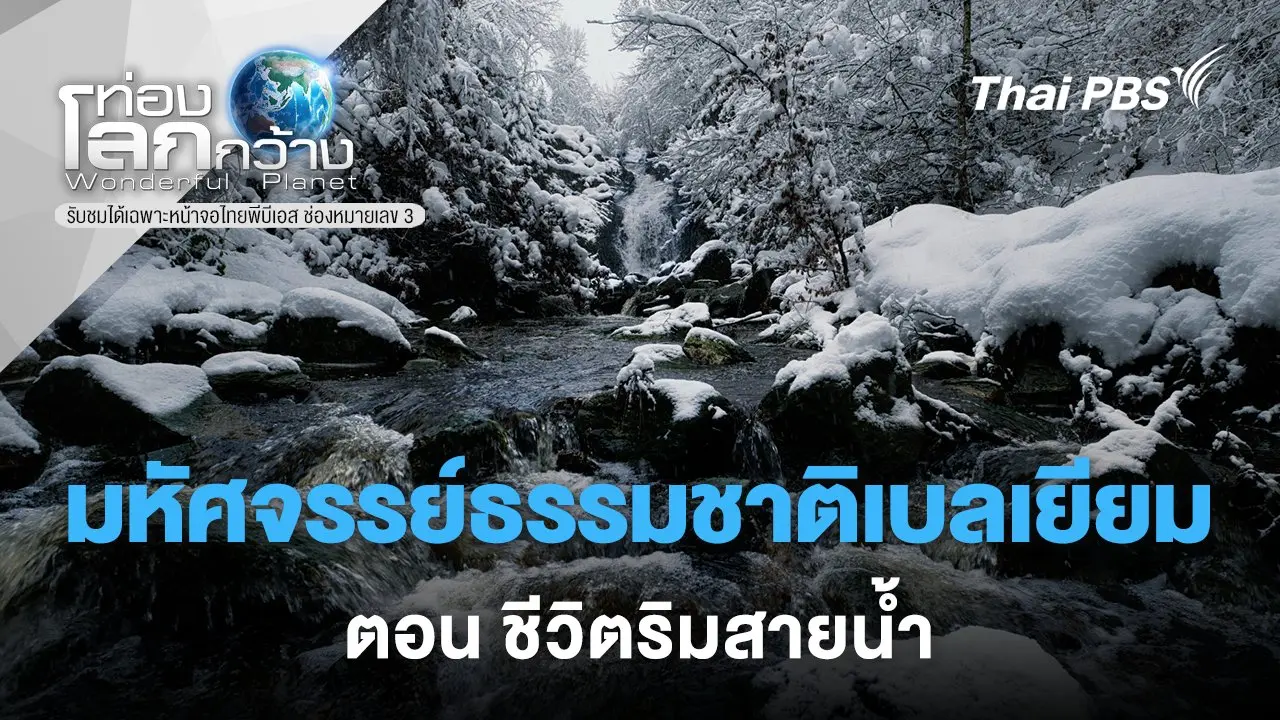 มหัศจรรย์ธรรมชาติเบลเยียม ตอน ชีวิตริมสายน้ำ